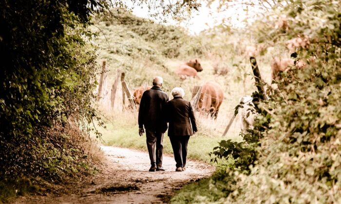 Mann und Frau gehen durch Natur und sehen Kühe